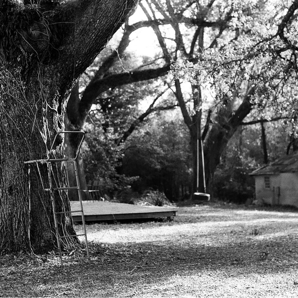 Cannon 35 mm - Picture 5 of 5